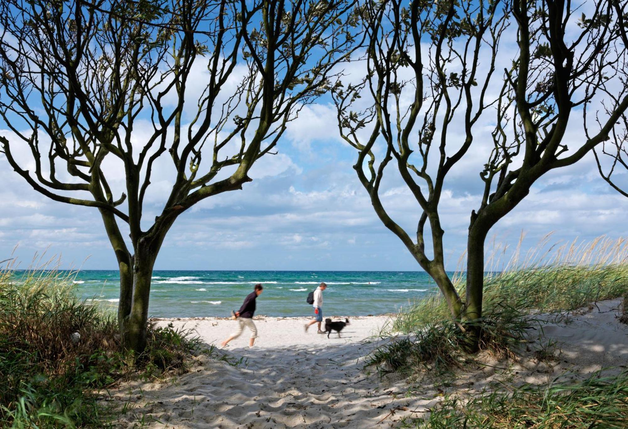 Ferienwohnungen Am Lotsenstieg Abendrot Insel Poel Exterior foto