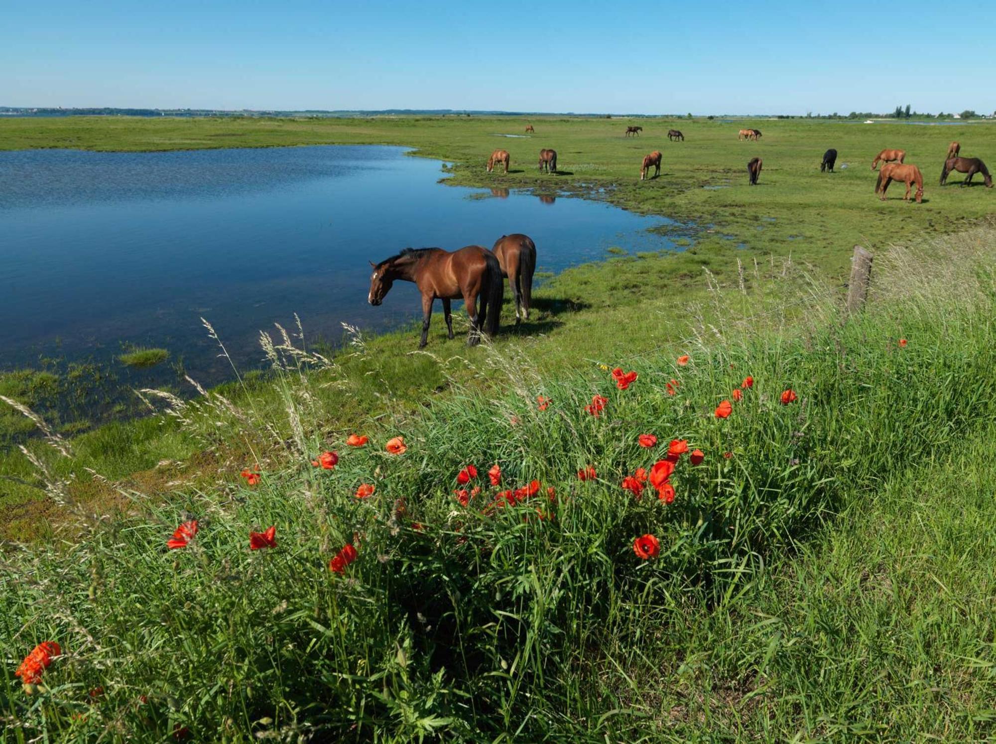 Ferienwohnungen Am Lotsenstieg Abendrot Insel Poel Exterior foto